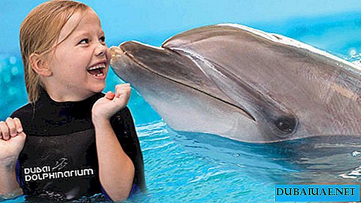 Přehlídka delfínů a kožešin: Nejinteligentnější mořský život v Dubaji