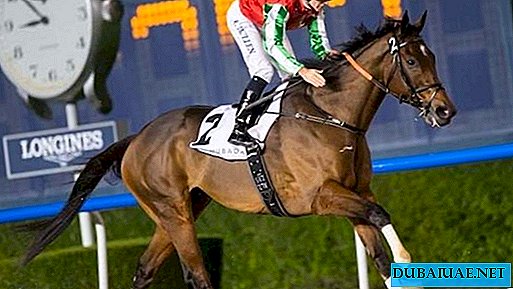 Ramzan Kadyrov’s horse won US $ 212 thousand in Dubai