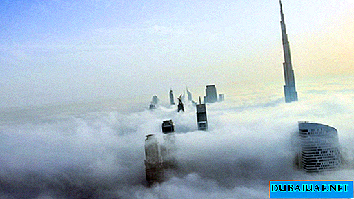 Docenas de vuelos retrasados ​​en los Emiratos Árabes Unidos debido a la niebla