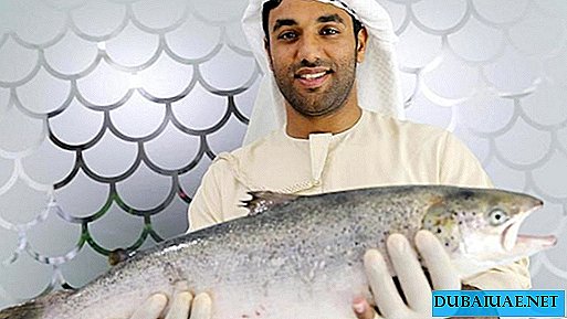 Nos Emirados Árabes Unidos começará a crescer salmão no deserto