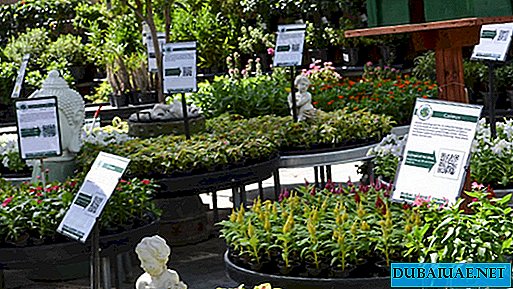 W Dubaju otwarto „obóz letni” dla roślin