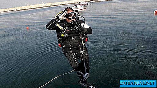 في دبي ، أنقذت الشرطة قط يغرق في البحر