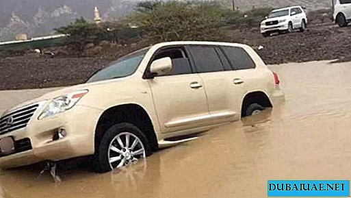 In Dubai, the police saved a car with a driver carried away by a stream