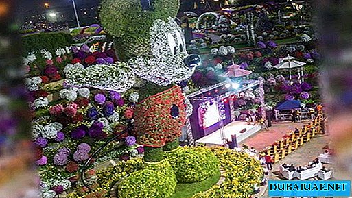두바이에서 꽃으로 만든 미키 마우스의 거대한 조각