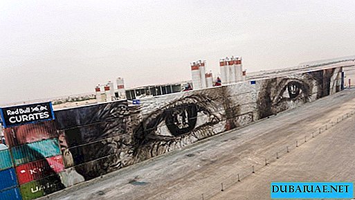 The largest mosaic in the world assembled in Dubai