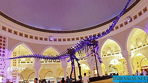Dubais läheb dinosauruse skelett haamri alla
