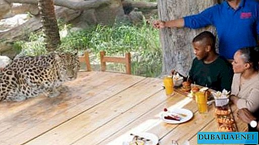 In the emirate's zoo you can now dine in the company of a leopard