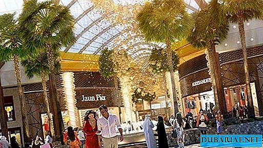 Dubai will open the world's first shopping center-garden this year in Dubai