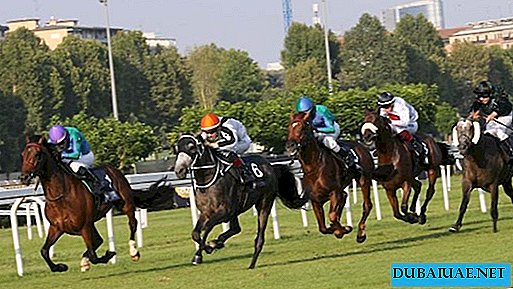 Uma das etapas do torneio equestre dos Emirados Árabes Unidos ocorre em Moscou