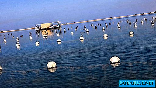 La première ferme de perles artificielles à ouvrir aux Emirats Arabes Unis