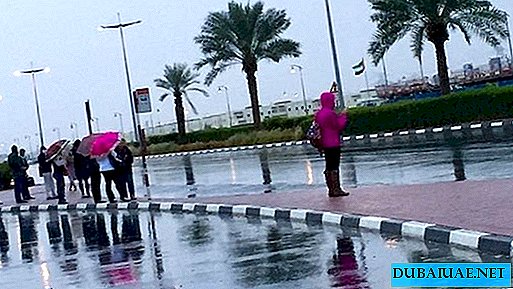 The long-awaited rain fell in the UAE