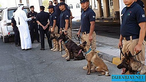 Den första frigöringen av servicehundar dök upp i Förenade Arabemiraten