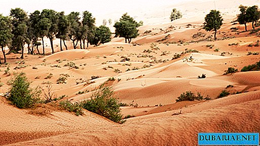 Una nuova riserva naturale apparirà negli Emirati Arabi Uniti