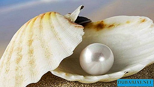 En los Emiratos Árabes Unidos, se ofrece a los turistas realizar un recorrido por las perlas.