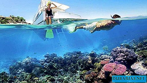 In the UAE have taken up the protection of coral reefs
