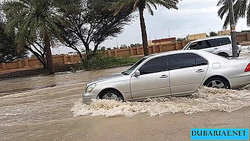 A taxa anual de precipitação cai nos Emirados Árabes Unidos por dia