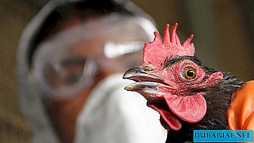 UAE bans poultry imports from Russia