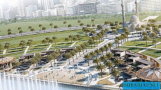 I den populære turistregion i De Forenede Arabiske Emirater blev picnic forbudt