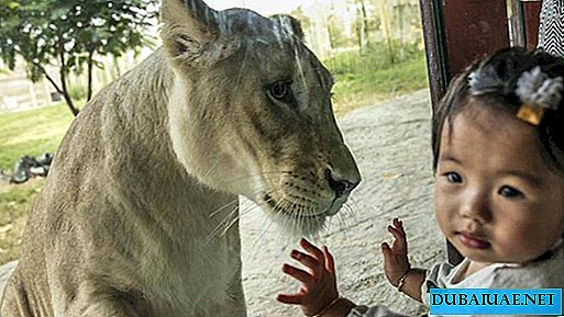 Entrance to the new Dubai Safari Park for two weeks will be free
