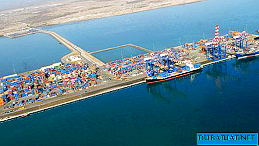 African authorities illegally seize port of Dubai operator