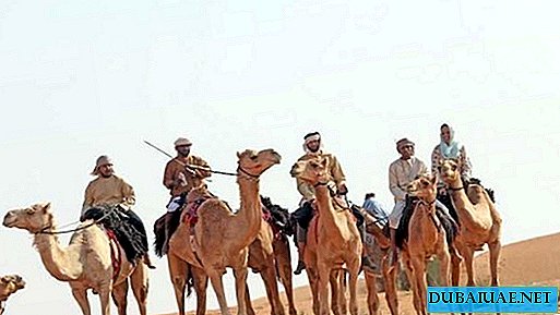 Einwohnern der VAE werden Kamele angeboten, um die Wüste zu durchqueren